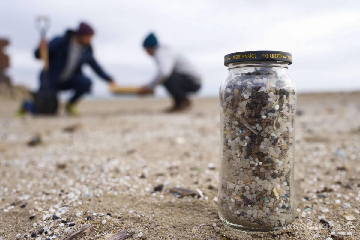 $!Los investigadores informaron de que la concentración media de microplásticos en 24 cerebros humanos de 2024 era de casi 5,000 microgramos por gramo.