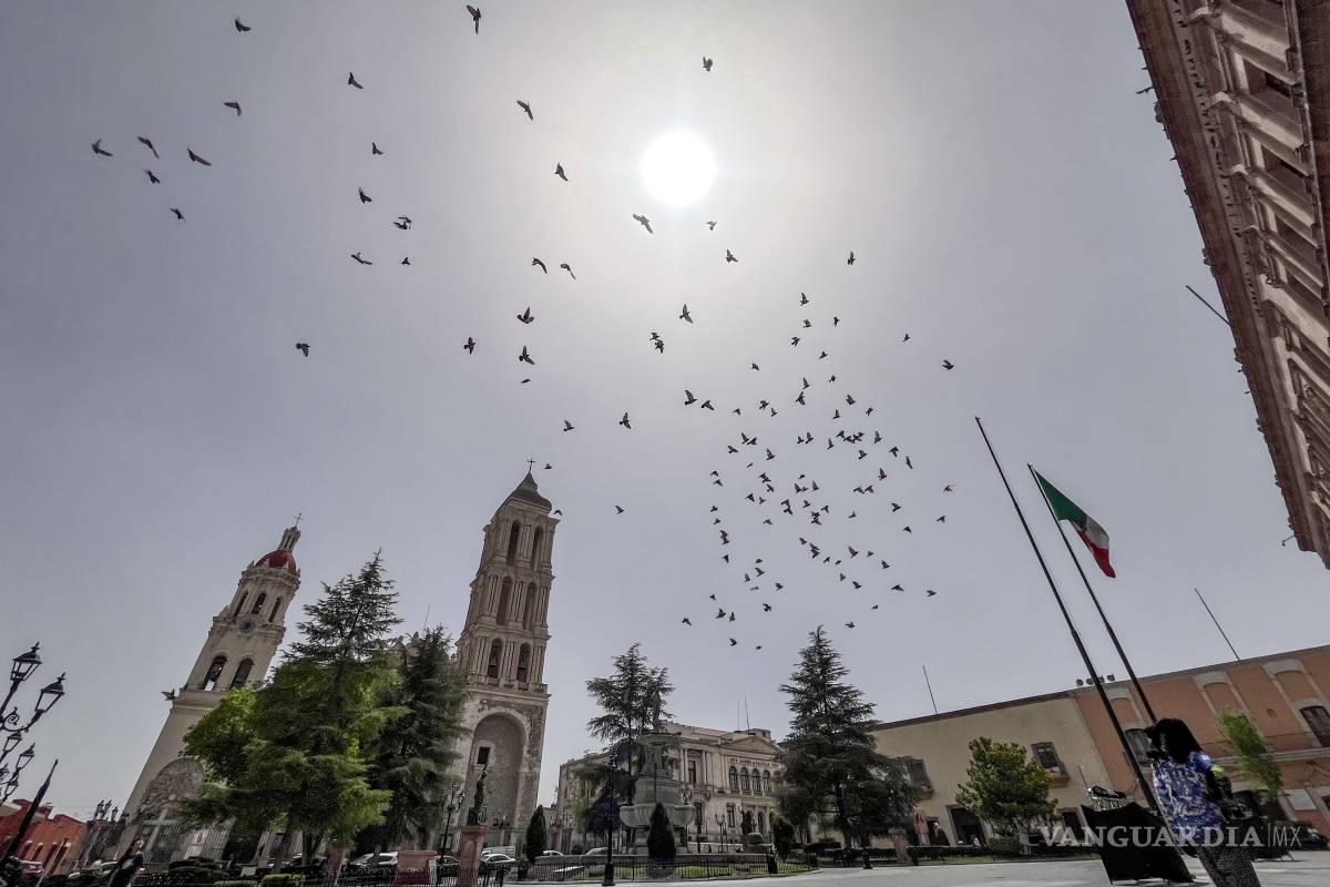 Por nube de polvo, la calidad del aire en Saltillo alcanzó niveles extremadamente malos