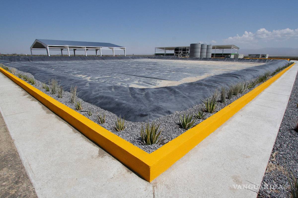 Suspende operaciones Cimari de General Cepeda: Profepa