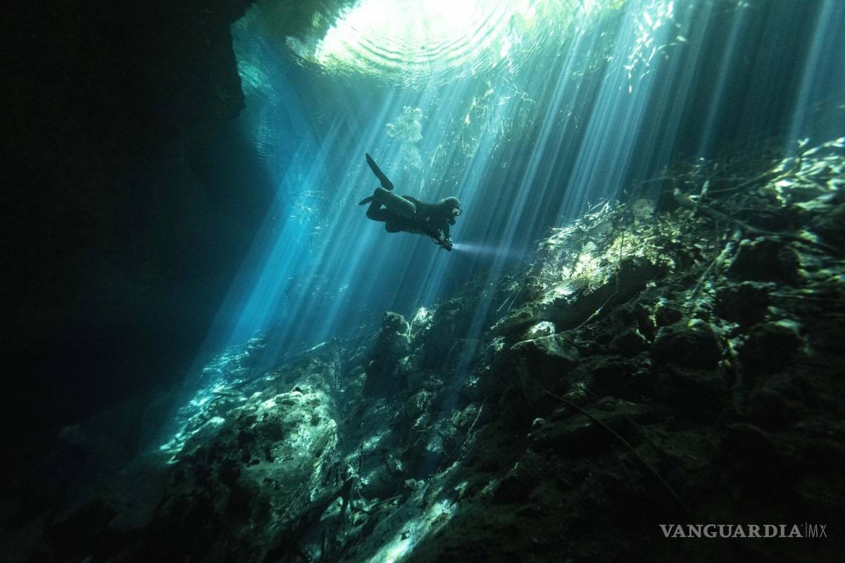 $!Peter Broger, instructor de buceo en cuevas, explora el cenote Jardín del Edén, mientras los rayos de sol se filtran entre el agua, cerca de Tulum, México.