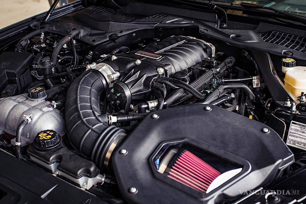 $!Si amas los Ford Mustang, no te puedes perder el Eagle Squadron (fotos)