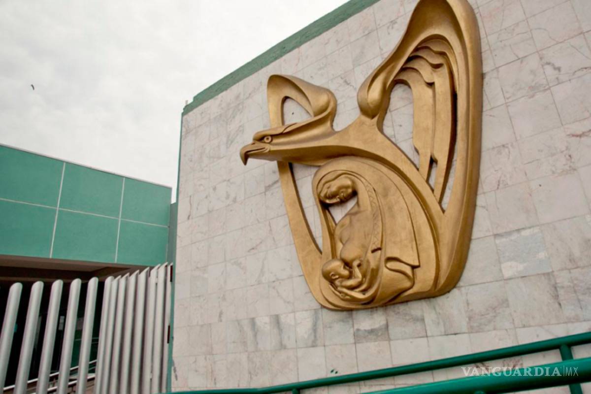 IMSS dio millonarios contratos a red de empresas propiedad de una familia