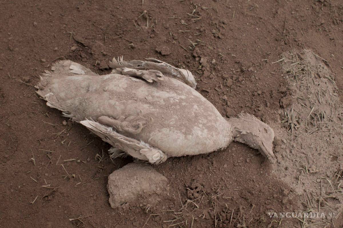 $!¡Impactante! Así quedó Guatemala después de la erupción