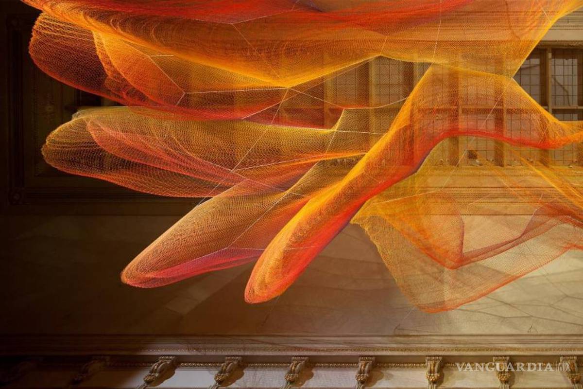 “Wonder”, la muestra de la Galería Renwick que maravilla a Washington