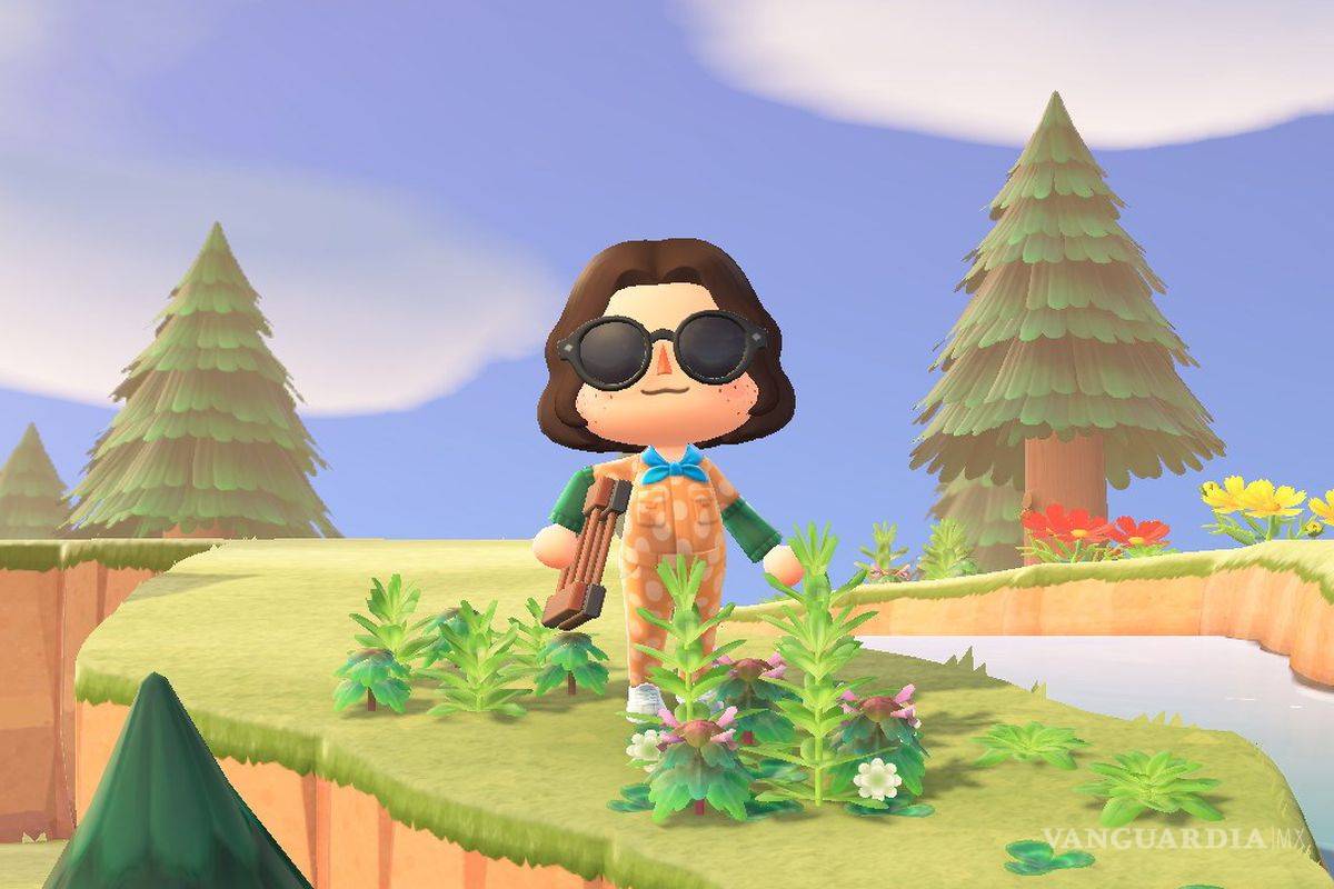 Facebook confunde venta de hierbas en grupos de Animal Crossing y los bloquea por creer que venden droga