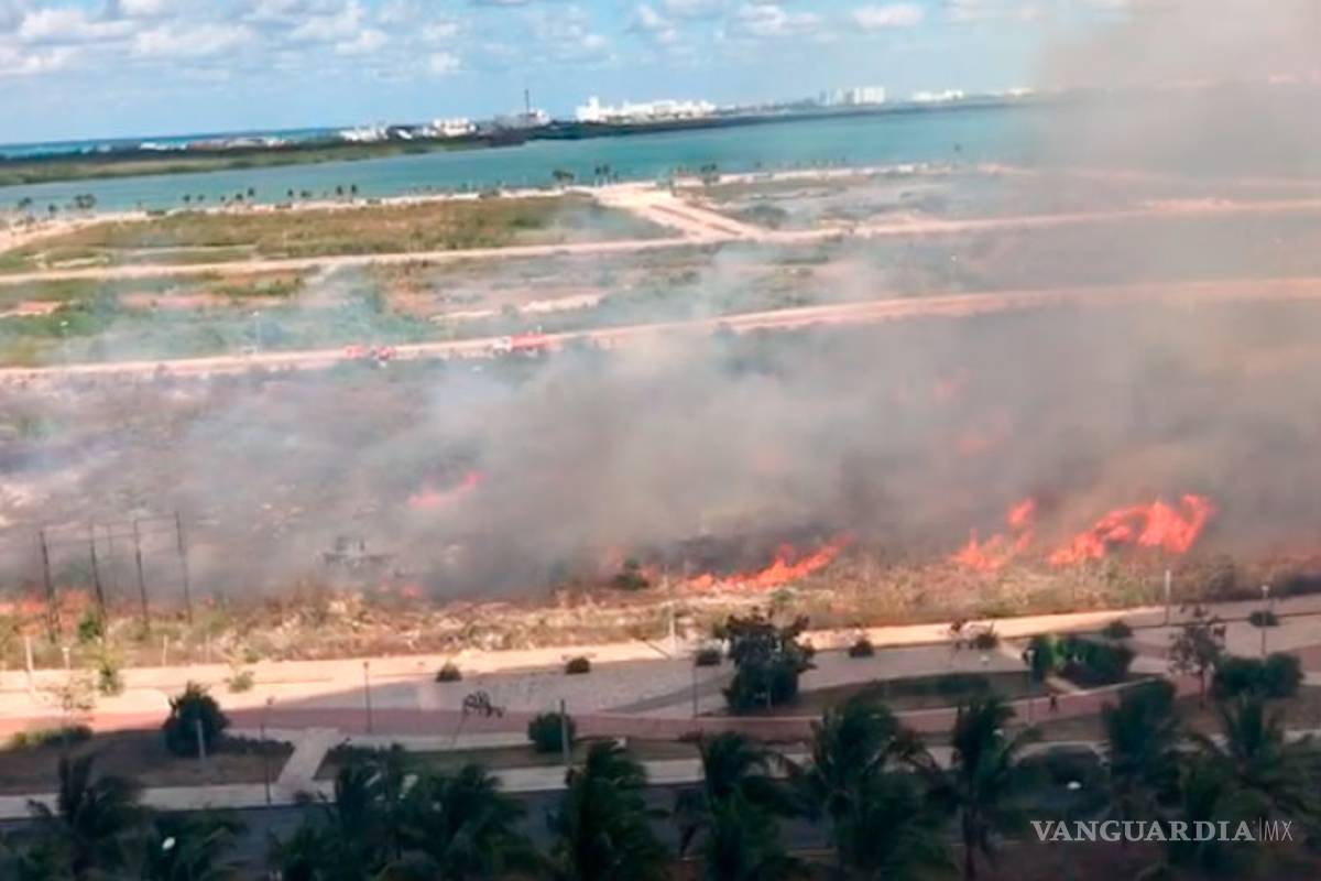 Incendio destruye parte del manglar Tajamar; fue provocado, acusan