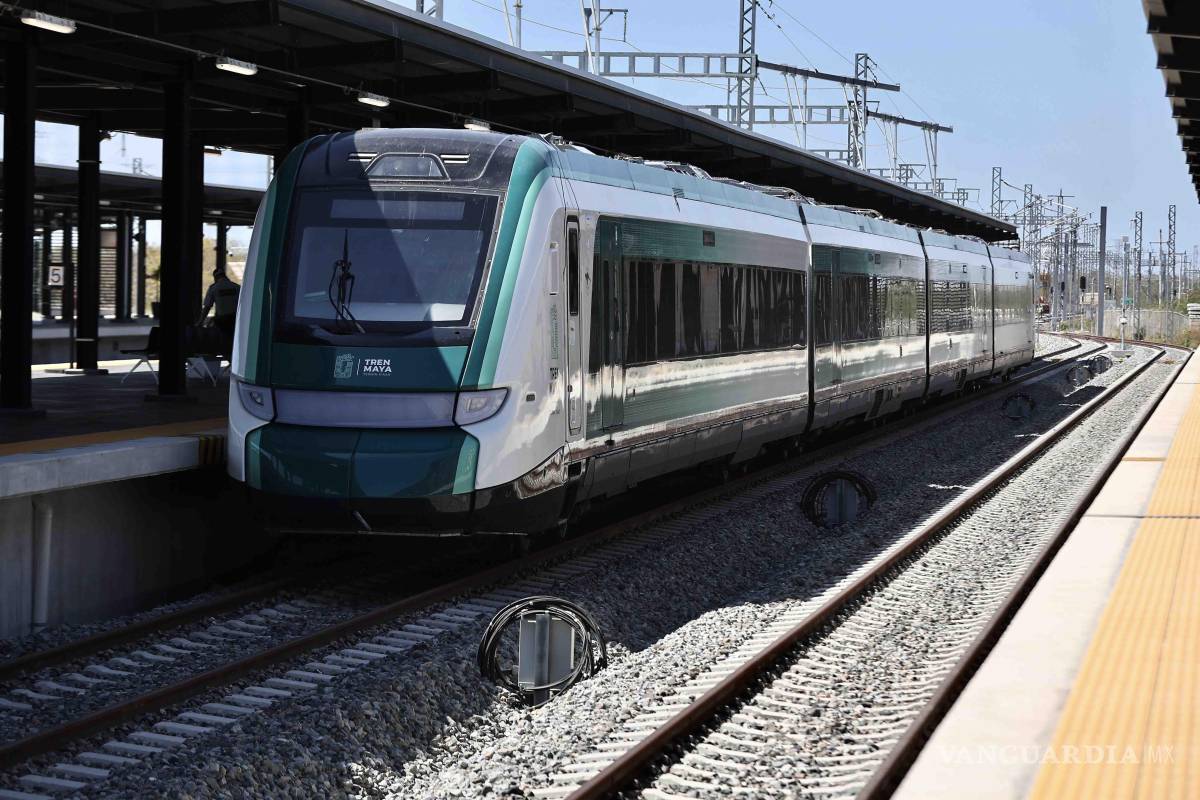 Secretaría de Defensa modifica el manejo de fauna cercana al Tren Maya