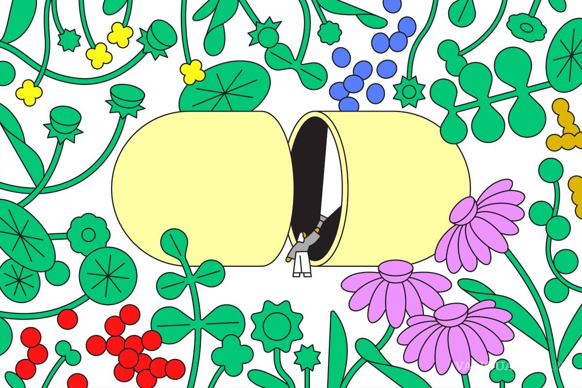 ¿Los suplementos pueden reforzar el sistema inmunitario?