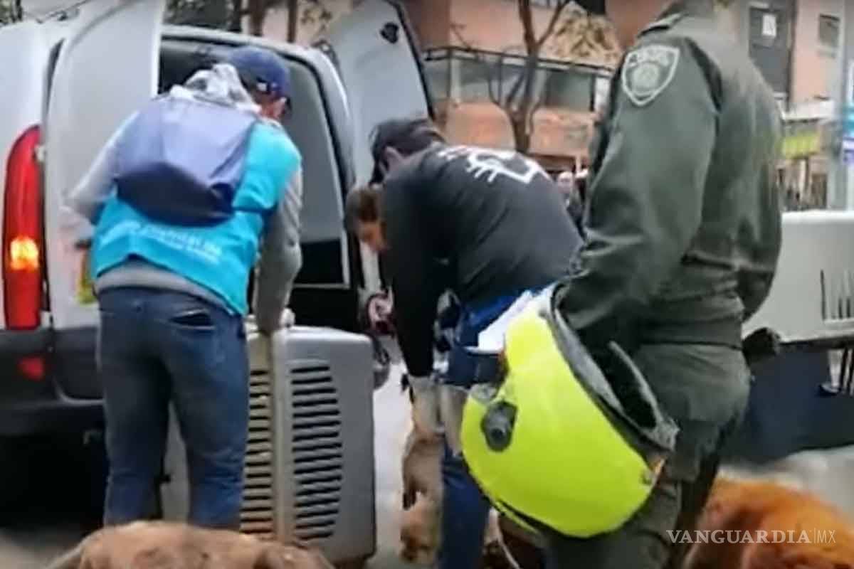 Menor abusaba sexualmente de su perrita; lo permitían sus padres