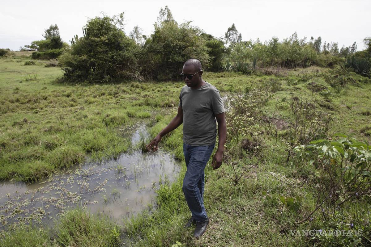 $!La Organización Mundial de la Salud exige dos grandes ensayos clínicos aleatorizados, realizados en dos entornos geográficos y epidemiológicos diferentes, que demuestren un impacto positivo