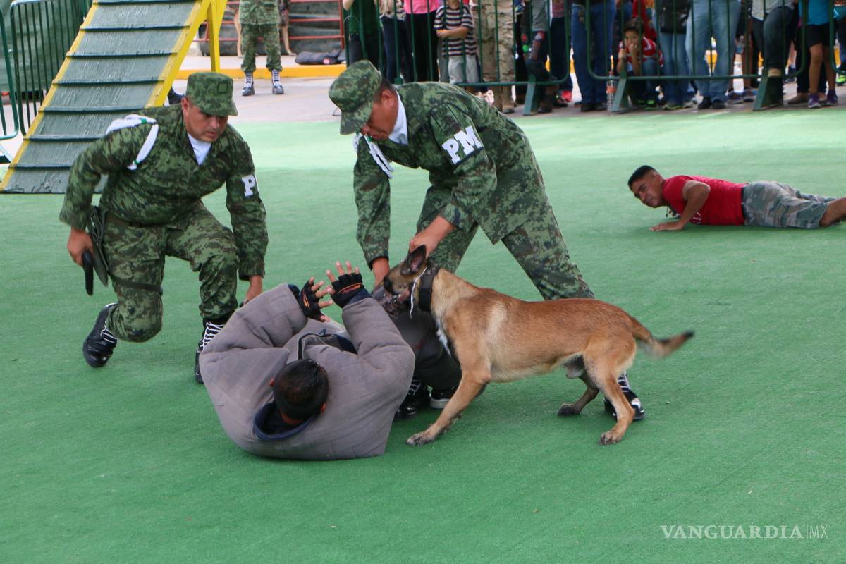 Unidades Caninas de las Fuerzas Armadas, indispensables en desastres naturales y combate a la delincuencia