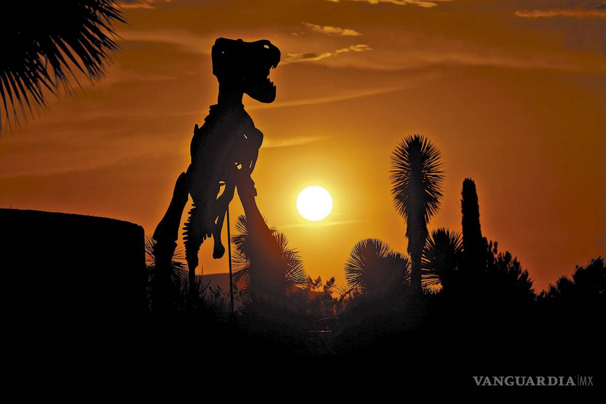 Museo del Desierto: Un tesoro invaluable y una ventana al pasado de Coahuila