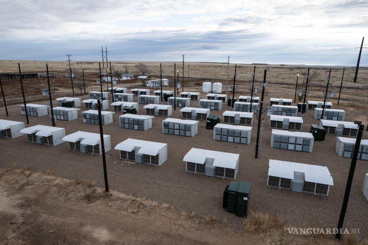 Este estudiante de la Universidad de Nueva York posee una criptomina de 6 millones de dólares