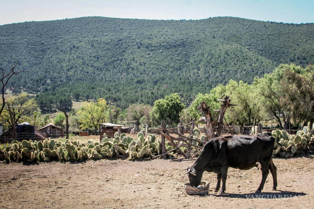 Entrega el Ejecutivo constancias de áreas protegidas