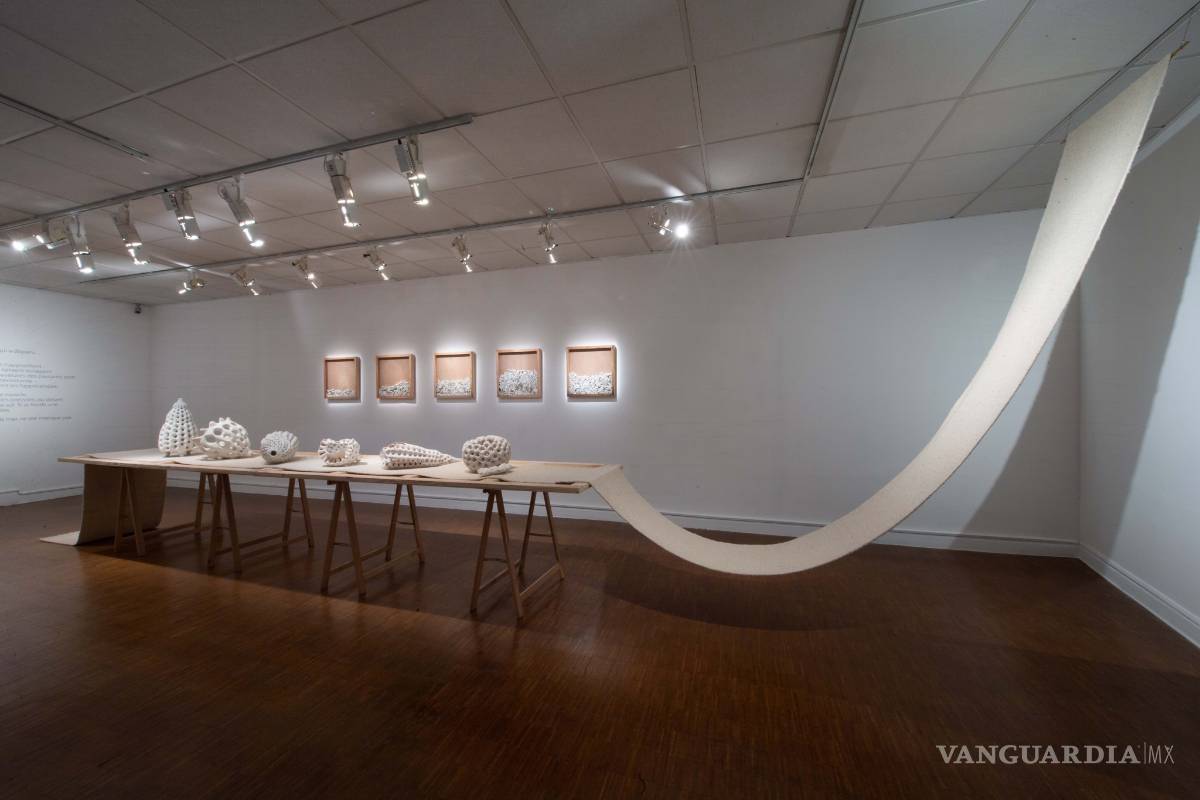 $!‘Extinción continua’: Avelina y Alejandro Fuentes Quezada exponen en Francia