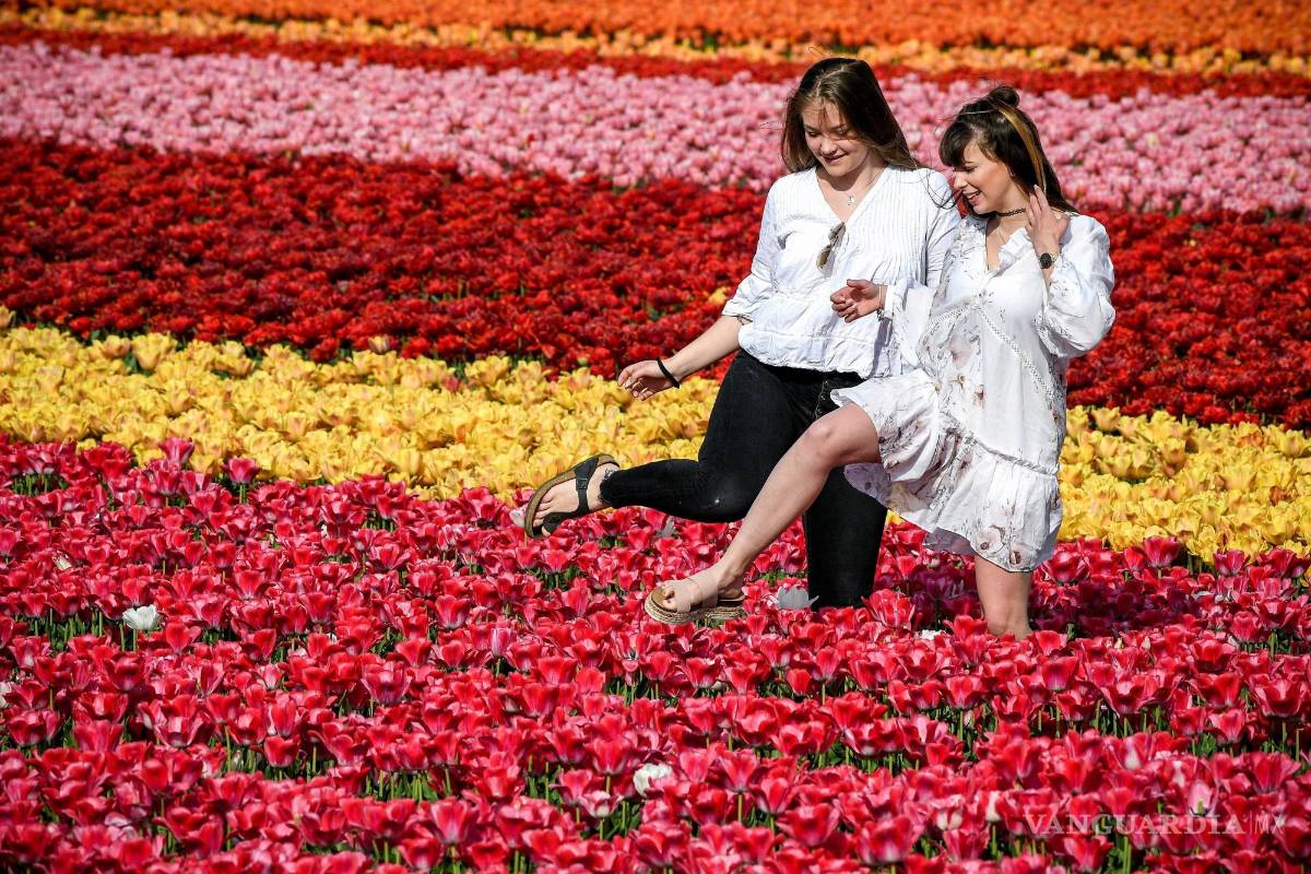 $!La Sociedad Española de Neurología indica que el síndrome de las piernas inquietas es más frecuente en las mujeres. EFE/ Sascha Steinbach