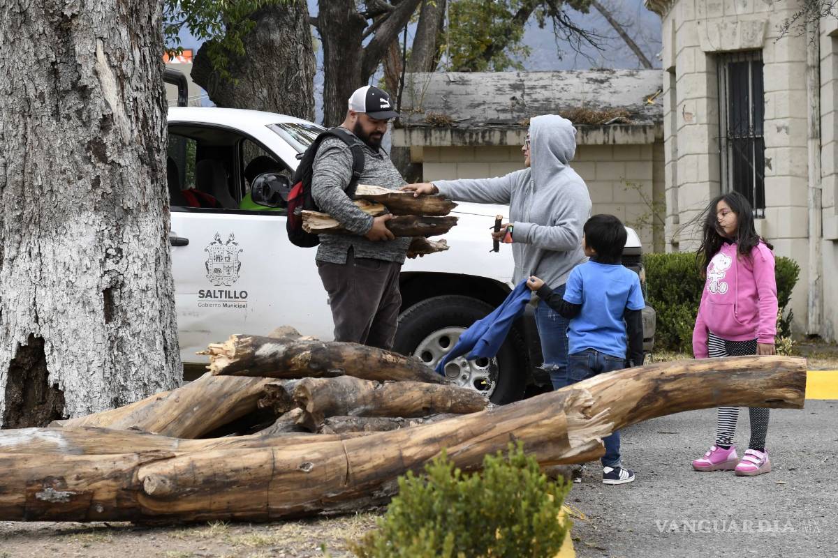 $!Árbol cae sobre restaurante en plaza comercial de Saltillo
