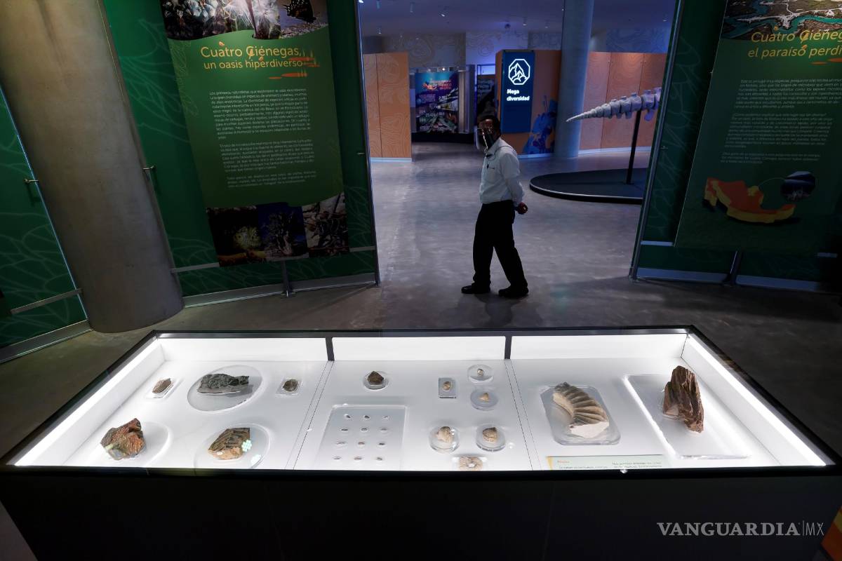 UNAM inaugura su Pabellón de la Biodiversidad con el apoyo de la Fundación Slim