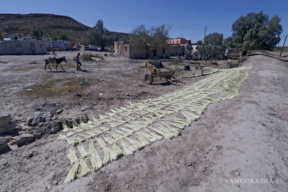 $!Campo, sequía y omisión, secan acuífero de Coahuila