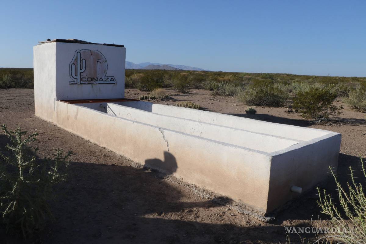 La instancia responsable es la Conaza, dice Sagarpa