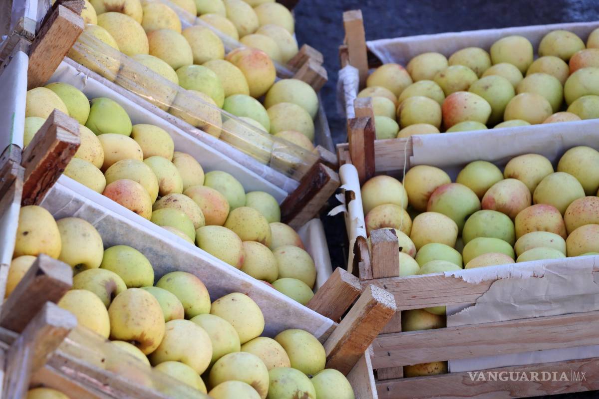 Se reduce 35% producción de manzana en Arteaga por escasez de lluvia