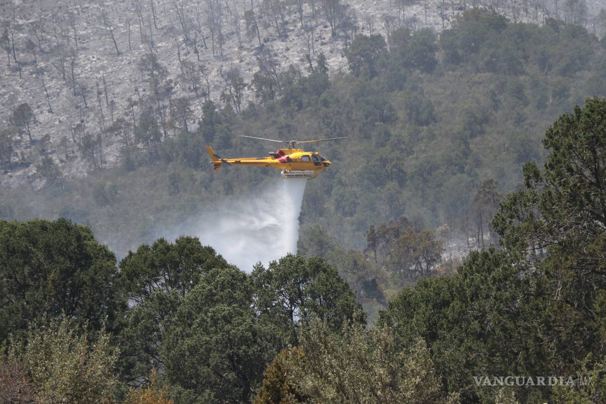 Sólo el 10 por ciento, el avance en control del incendio en la Sierra de Arteaga