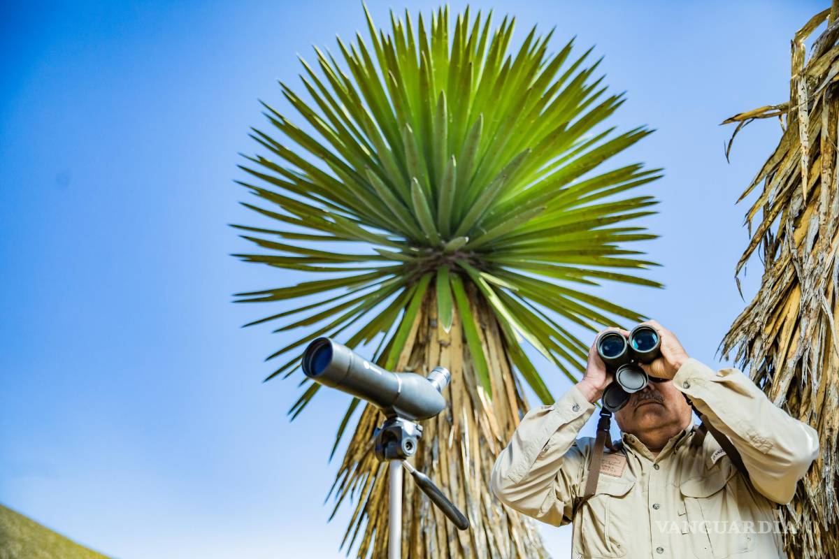 Enrique Cisneros Tello: El vigía del Águila Real