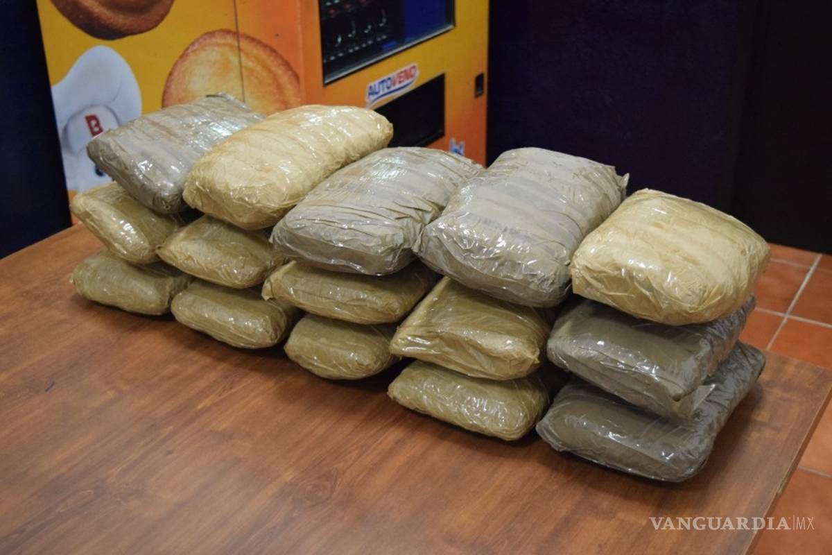 Detienen a pasajero con 60 kilos de mariguana en la Saltillo – Zacatecas