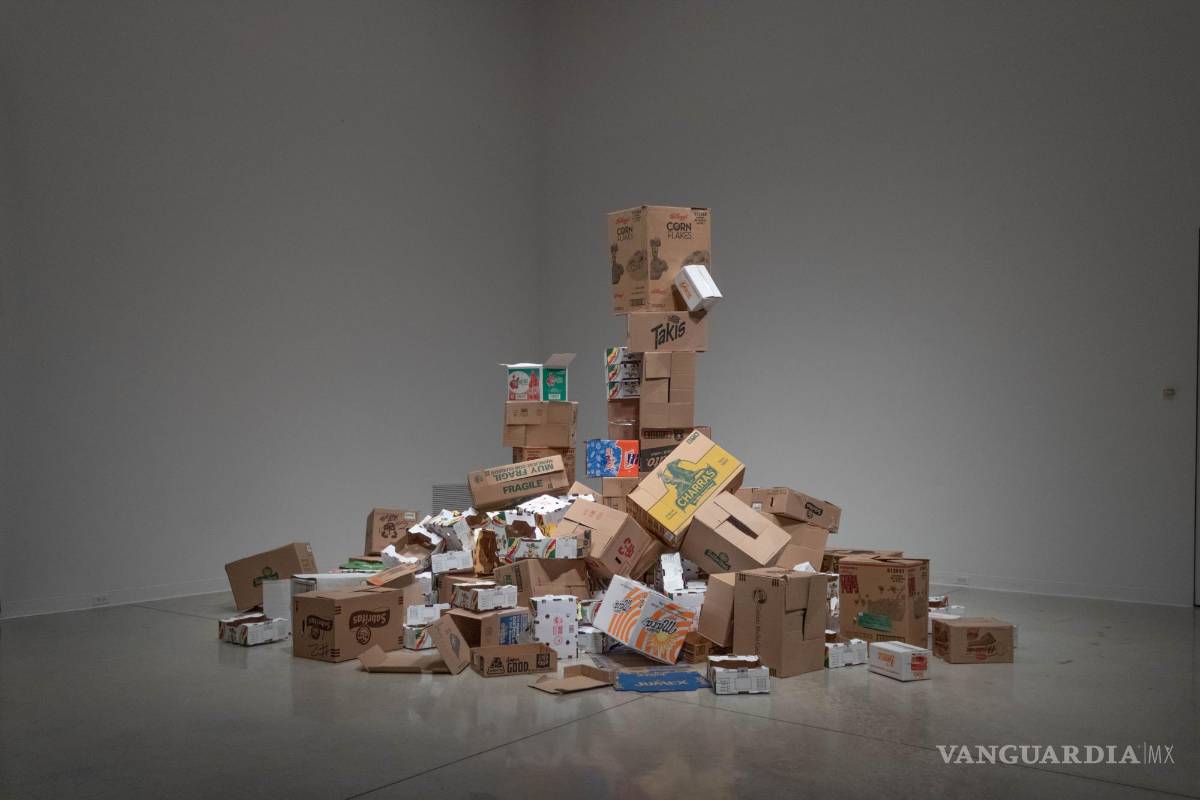 $!‘El otro vecino del otro lado’: Arte que revela la realidad de la migración latina a Canadá