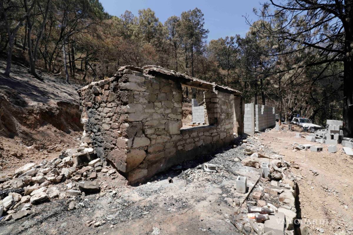 $!Nos quedó chico el infierno; incendio en la Sierra de Arteaga es un castigo de Dios: ejidatario