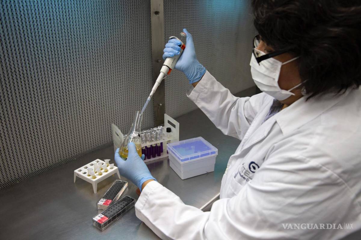 $!La Dra. María de los Ángeles Sánchez Contreras conserva las cepas de levadura patentadas de Gran Maizal para la fermentación del whisky en Mérida, Yucatán.