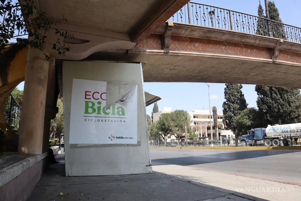 $!Los estudiantes son el segmento poblacional que más utilizan este programa.