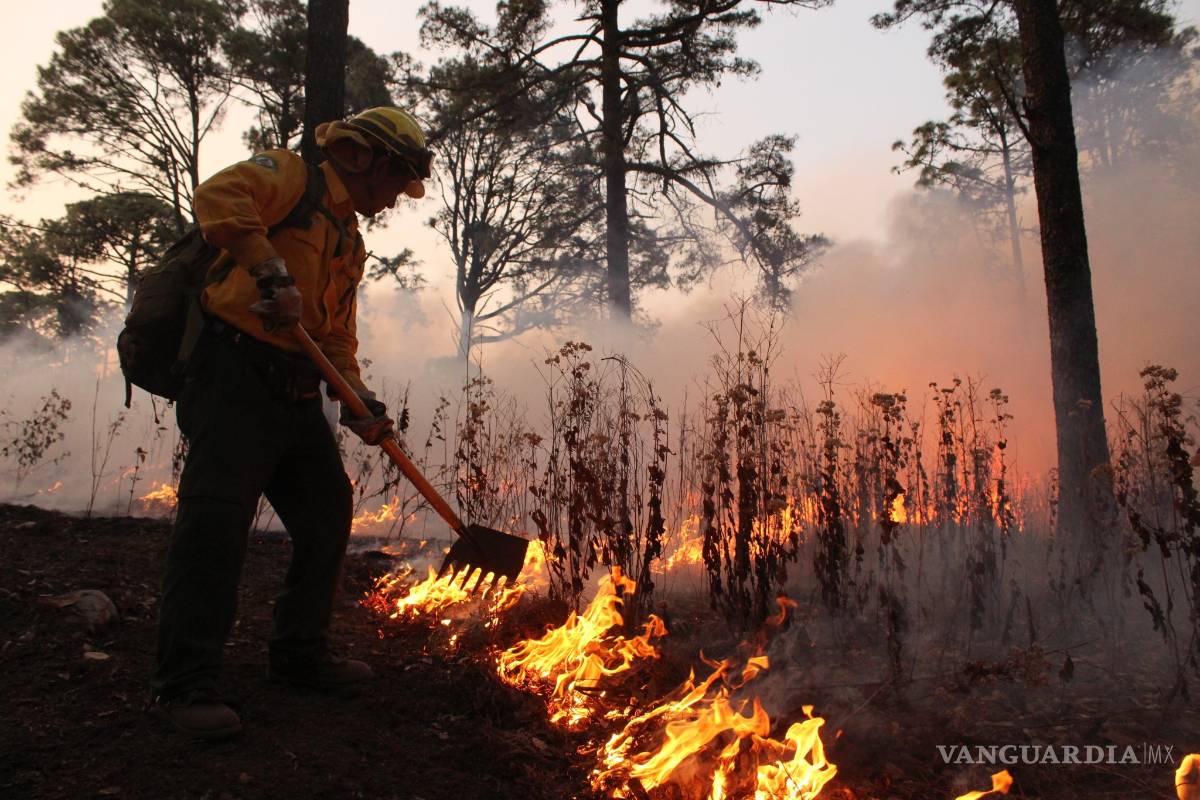 CDMX y Edomex lideran al país en incendios forestales