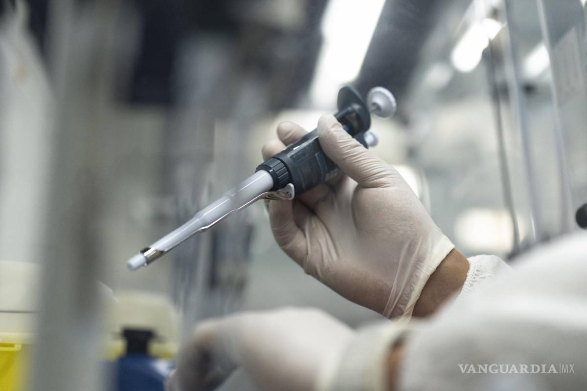 Marruecos produce primeras pruebas de viruela símica en África para atender a su población