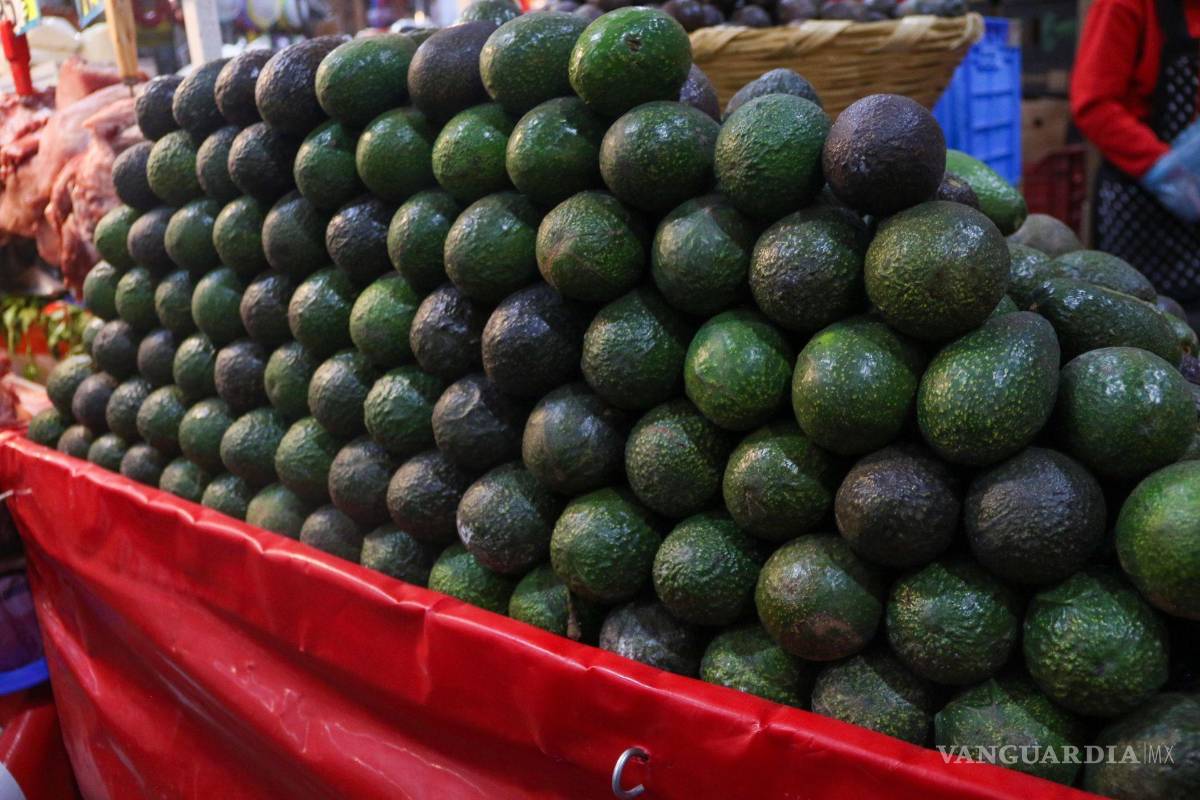 $!Los productores y empacadores, eufóricos, señalaron que una vez que se volvió a cortar la fruta, a empacar y a embarcar, Estados Unidos nuevamente se pintará de verde.