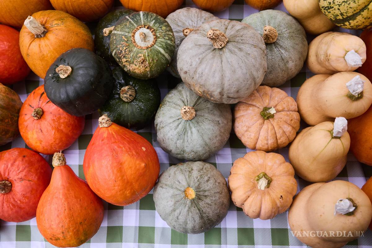 $!Con sus característicos tallos coloridos, la acelga cocida aporta más del doble de potasio que un plátano, convirtiéndose en una aliada para la presión arterial.