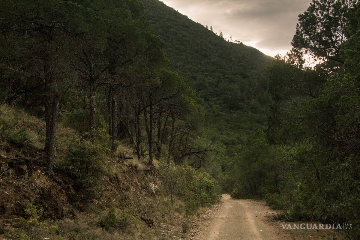 $!El camino del cuatro: cruzando Zapalinamé como hace 100 años
