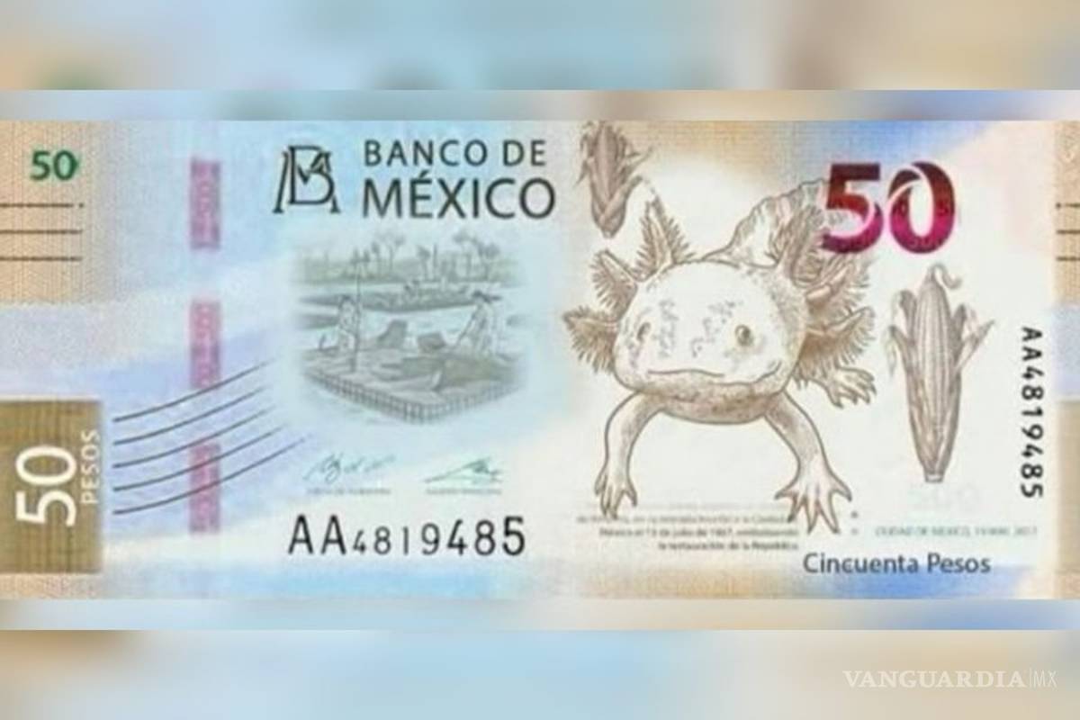 Nuevos billetes de 50 pesos llevarán al ajolote y Xochimilco