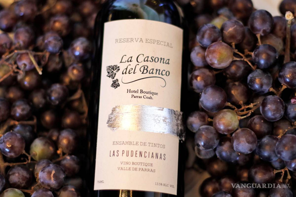 Presentan Las Pudencianas producción de su nuevo vino