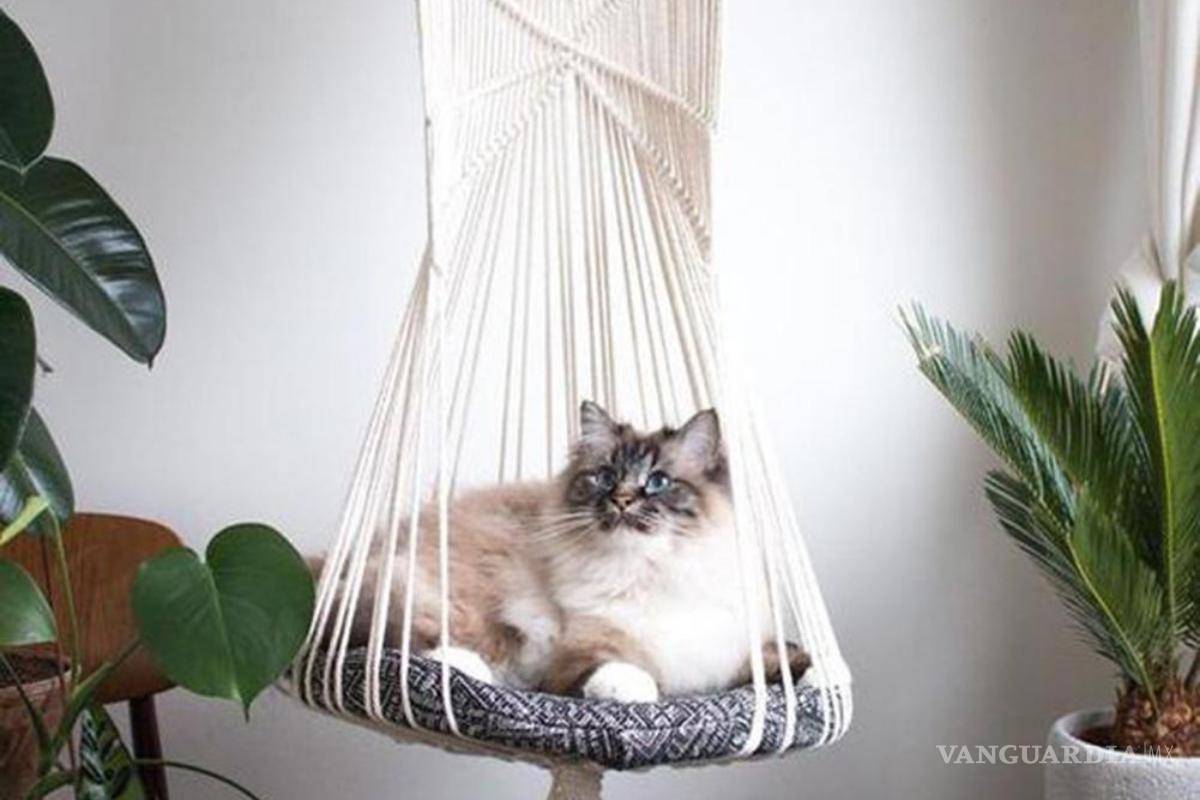 $!El estilo boho puede incluir una hamaca de macramé.
