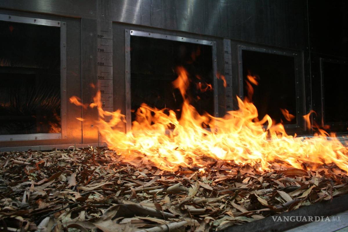 $!El Pyrotron es un túnel de viento de combustión diseñado para investigar la propagación de llamas.