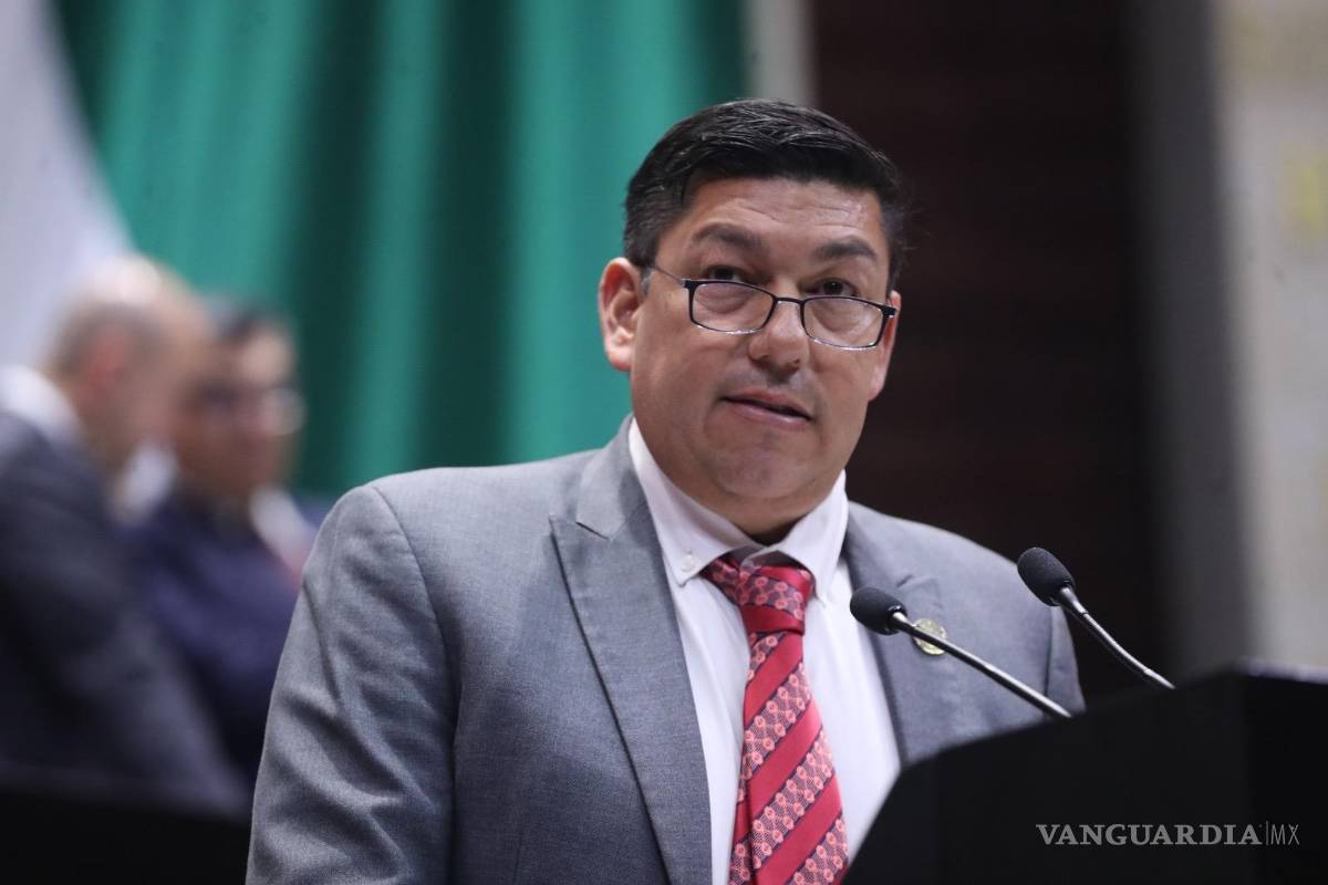 $!El diputado Braña Mojica, del Partido Verde Ecologista de México (PVEM), plantea reformar el artículo 30 de la Ley General de Educación | Foto: Especial