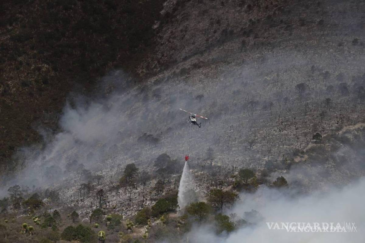 $!En este 2025 se reporta una mayor cantidad de incendios forestales, así como de hectáreas dañadas.