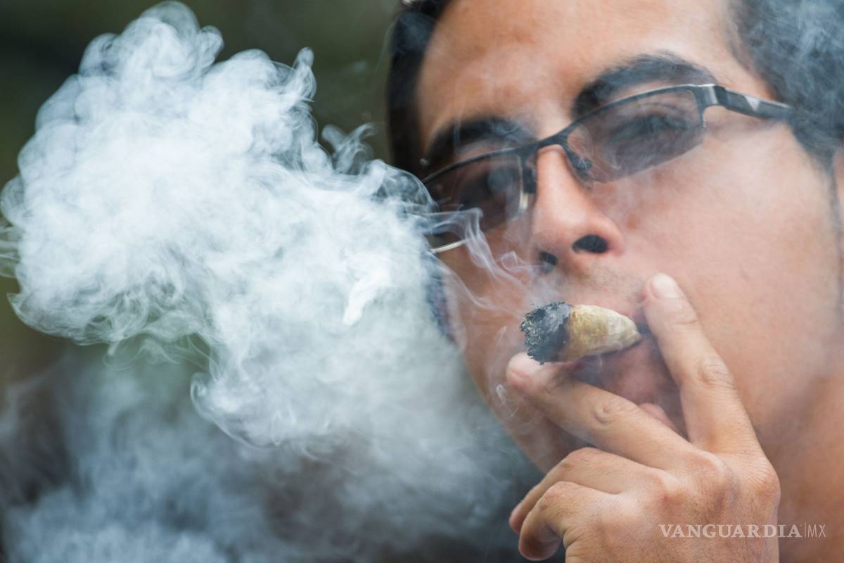 Gobierno respetará resultados de debate sobre mariguana: Segob