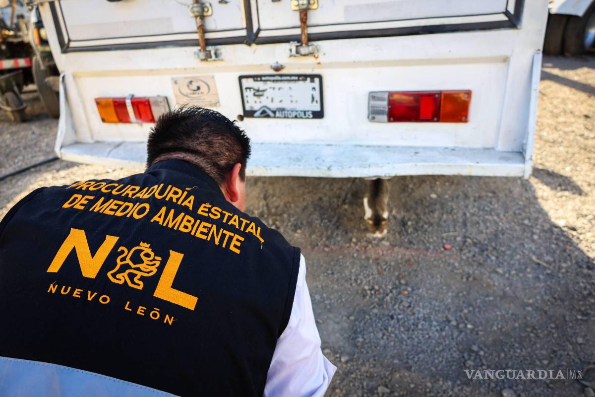 Por maltrato y crueldad animal suspenden un taller en Apodaca, Nuevo León