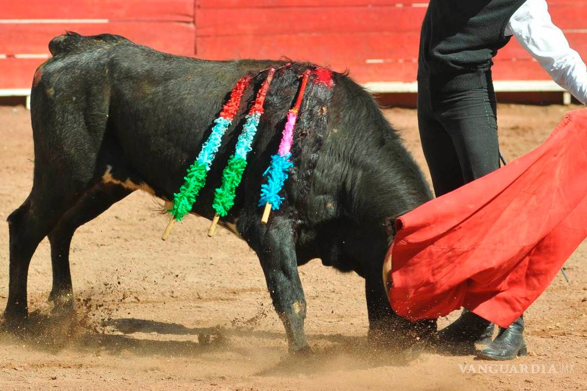 Pide diputado se investigue a juez que autoriza las corridas de toros en Torreón