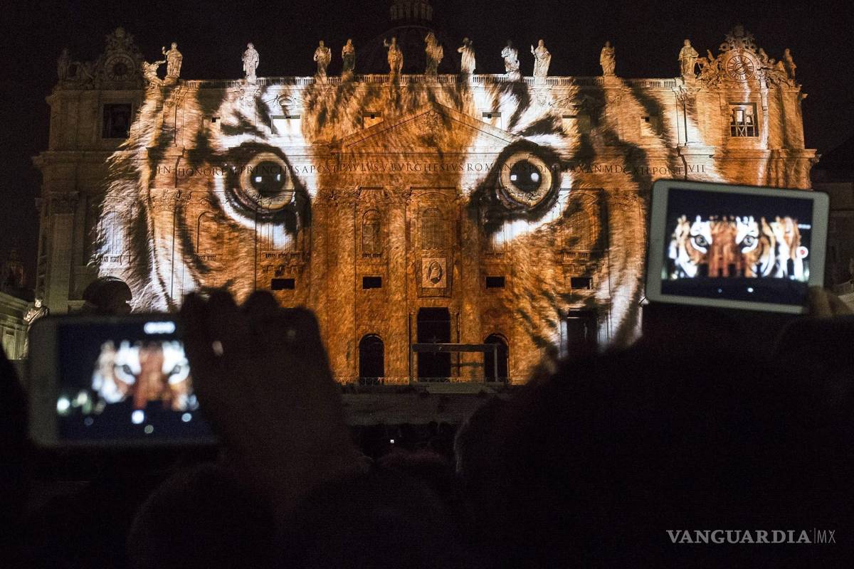 $!El Vaticano se tiñe de luz y color por el medio ambiente