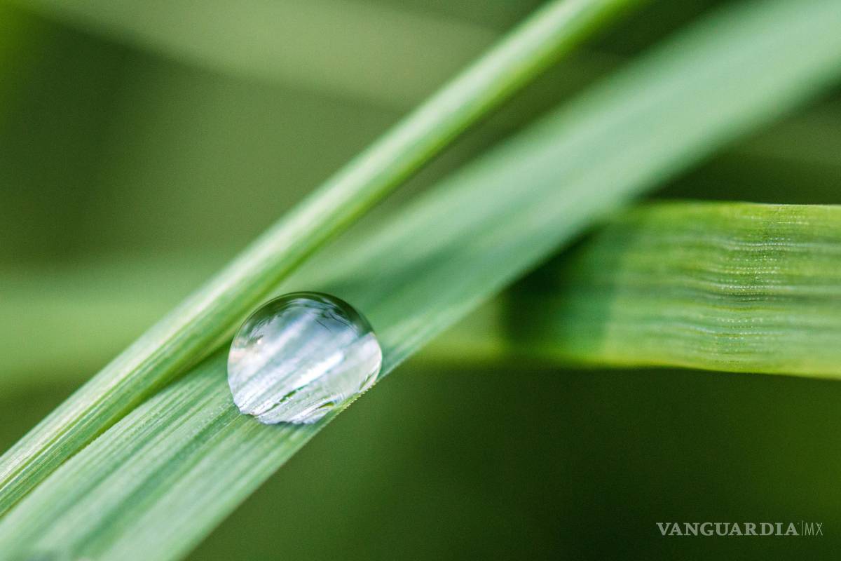 $!El movimiento del agua sobre las superficies genera más carga eléctrica de la esperada.