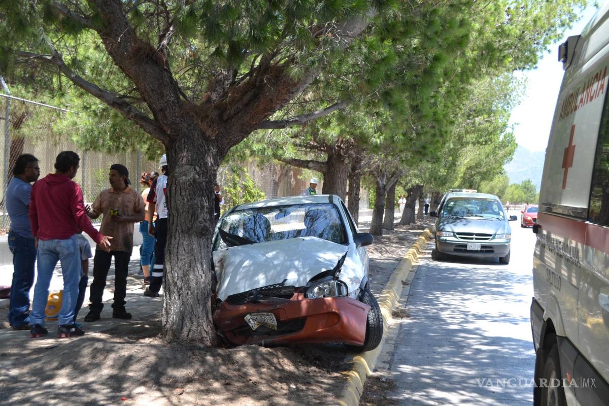 Acaban su viaje contra un árbol
