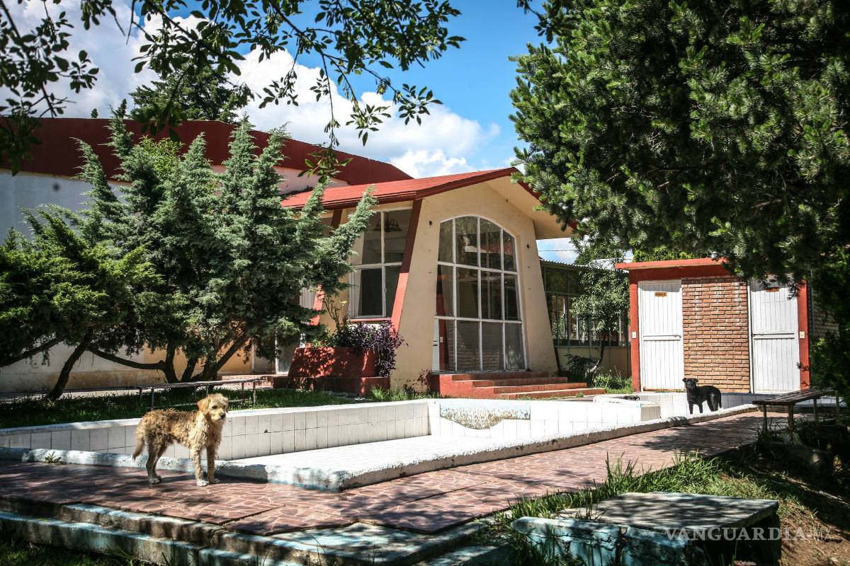 $!Dejan caer inmuebles de la Sección 38 del SNTE